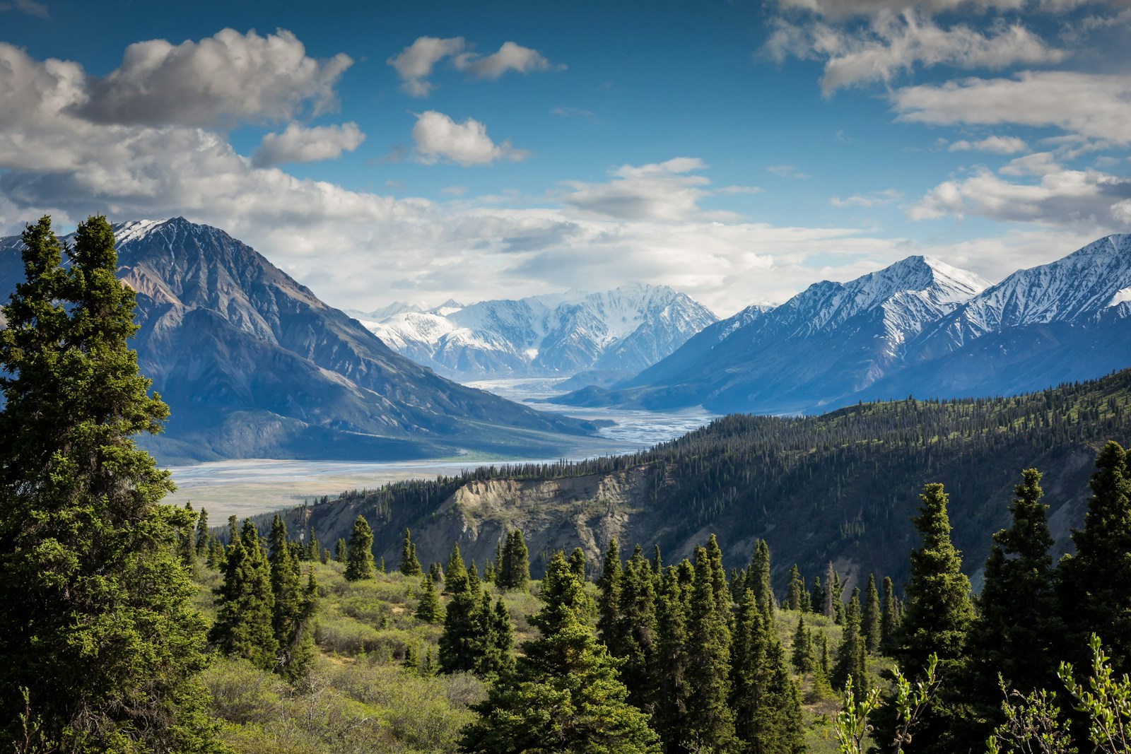 Sunlit mountains and a forest above a wide river valley.